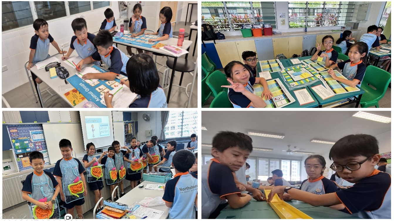 Activity-based and Collaborative Learning using SPARKLE Kits