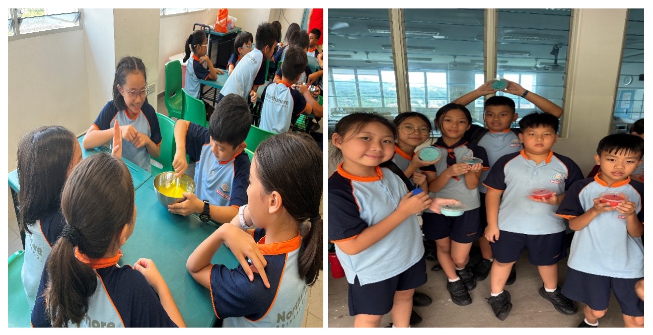 P4 Fun with Matter