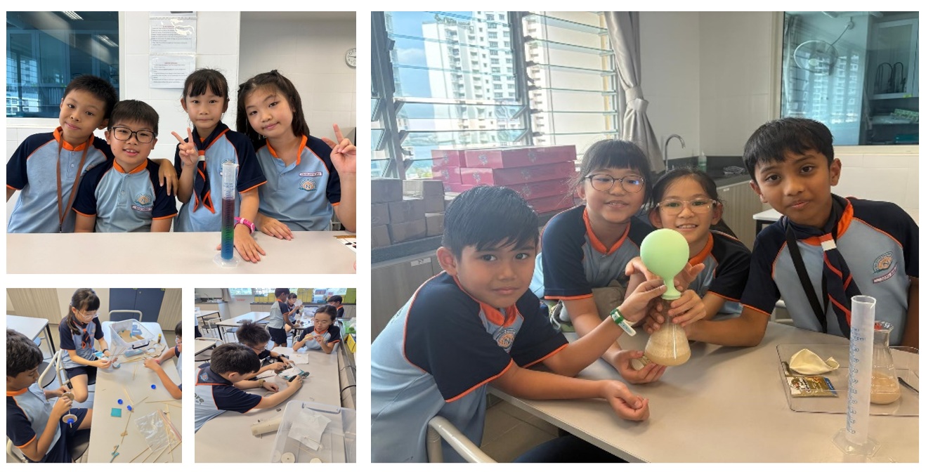 Differentiated Programmes for Northshoreans