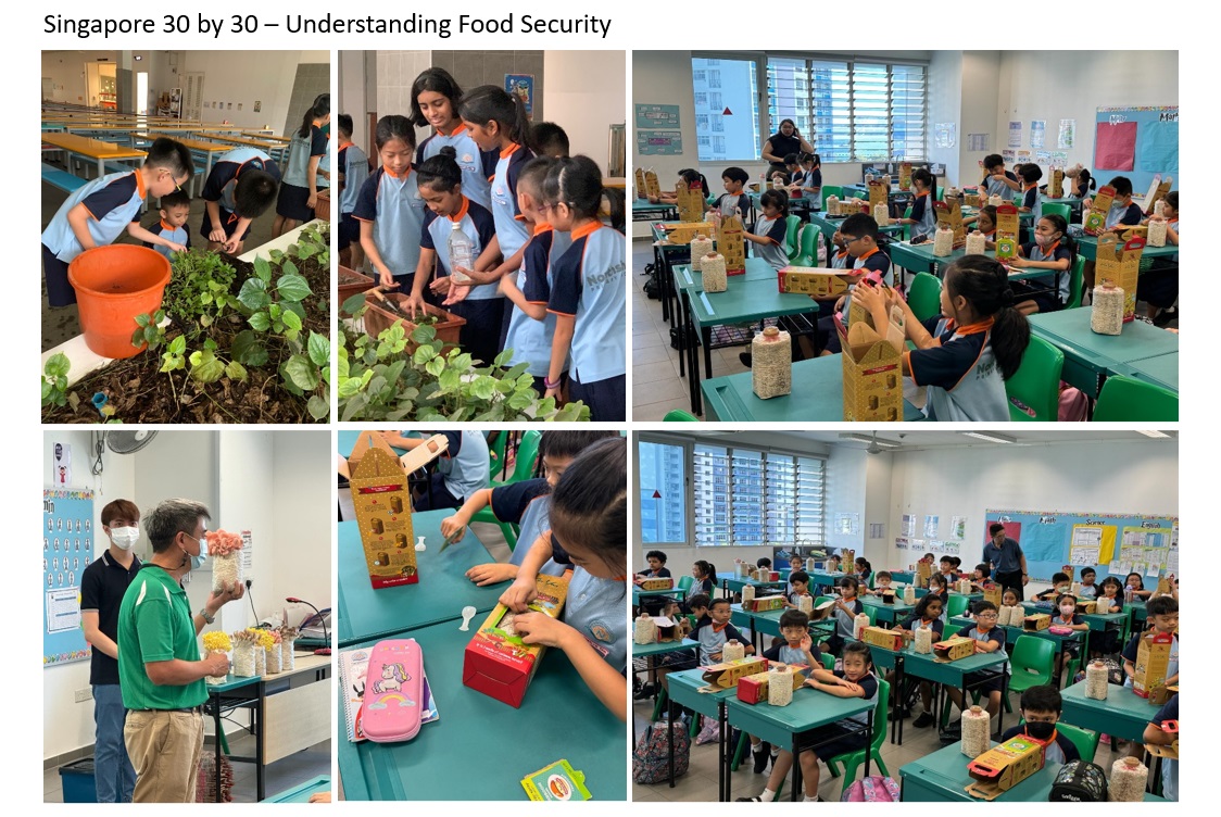 Understanding Food Security